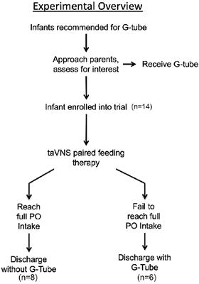 Transcutaneous Auricular Vagus Nerve Stimulation-Paired Rehabilitation for Oromotor Feeding Problems in Newborns: An Open-Label Pilot Study